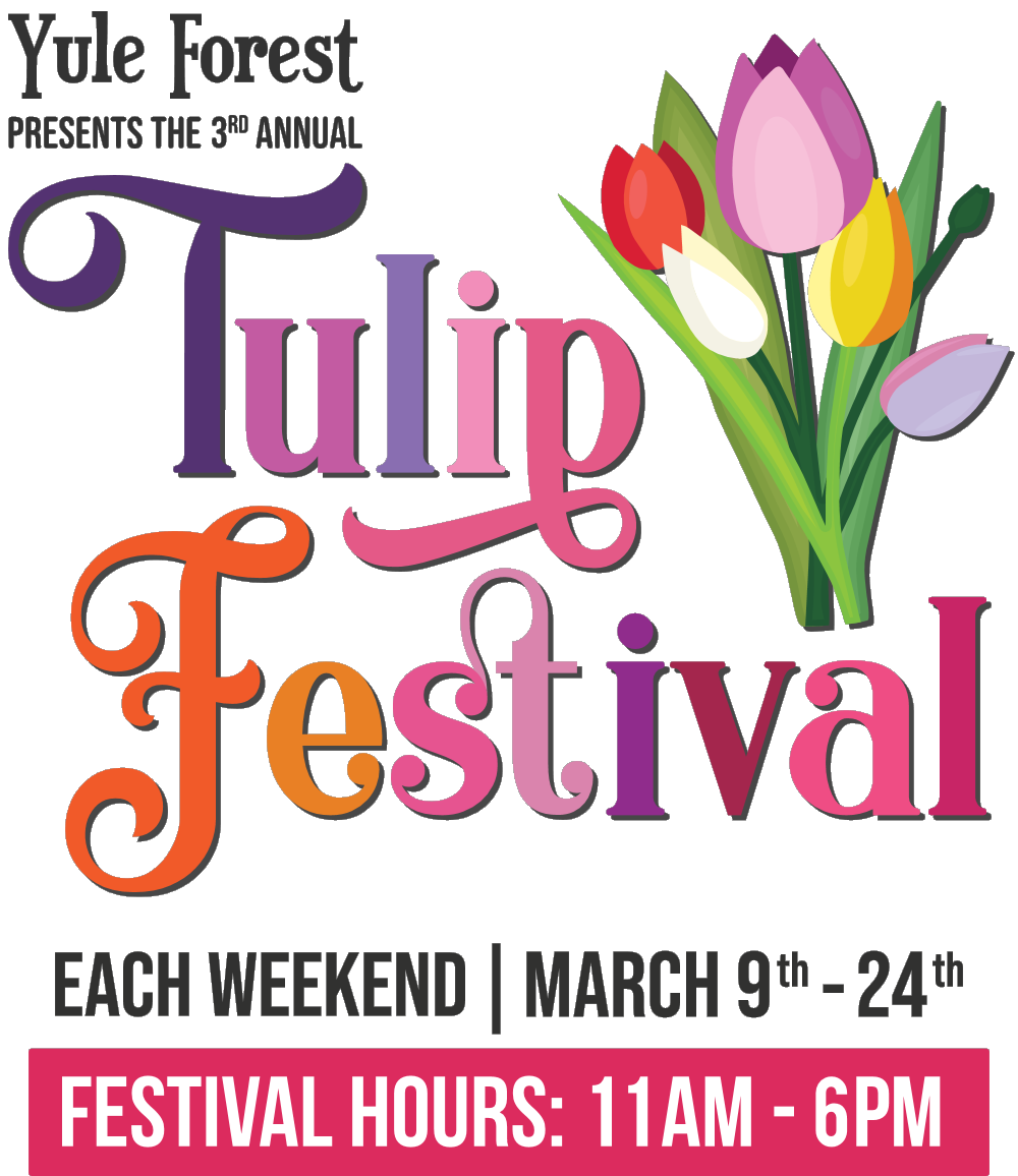 Yule Forest The Tulip Festival